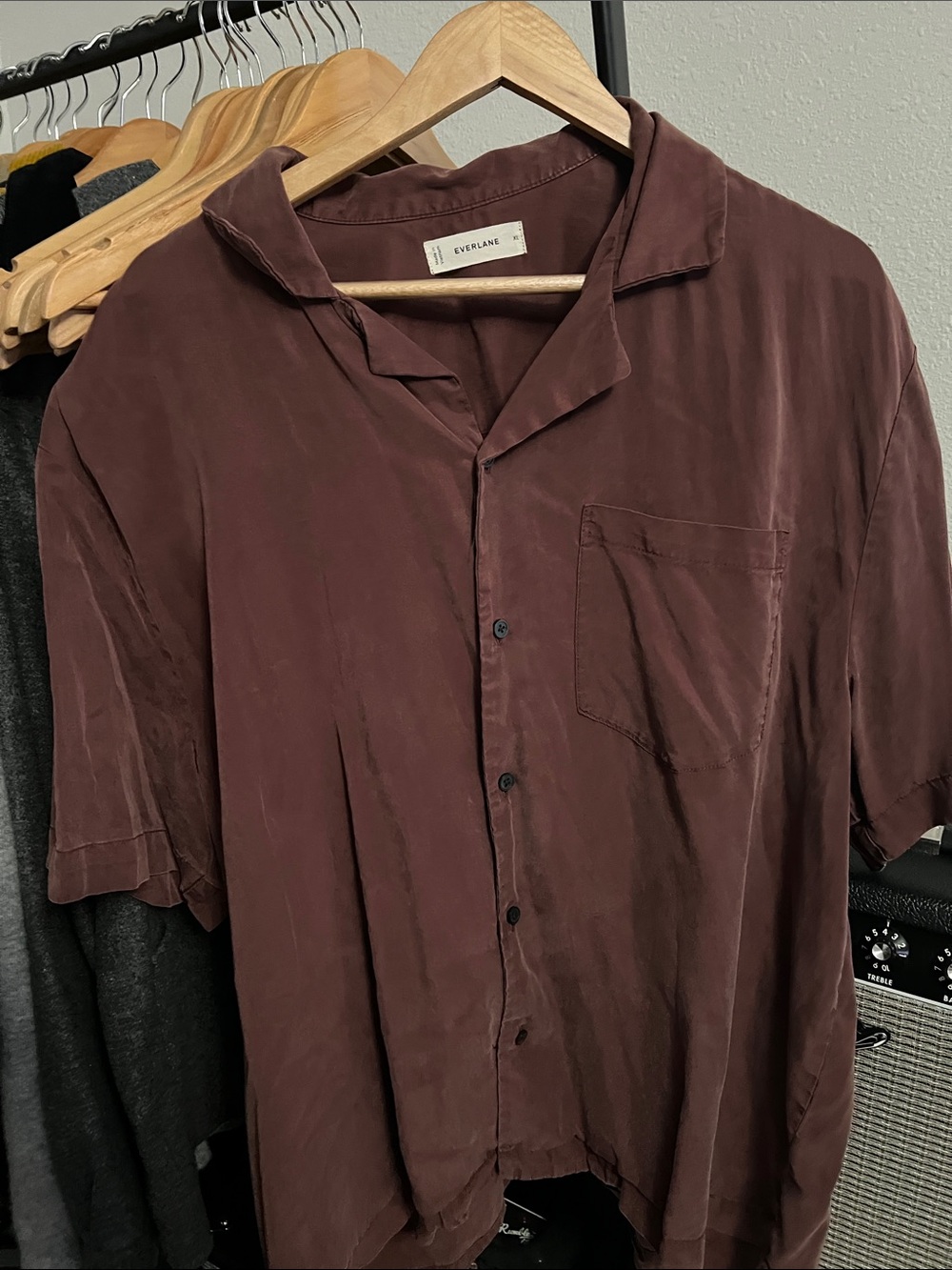 Everlane Short-Sleeve Button-Down Shirt in Maroon